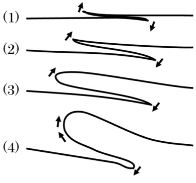 図 2.6: ひだの回転運動 次に， S-fractal manifold オーロラの基本的な運動によって起こる，ディスコネ クション，リコネクションといった運動について説明する．まず，１つのシート状 構造から生まれた折りたたみ構造のうち高緯度・西側に突き出した部分が，磁場 の向きに見て右回りにめくれ上がる変形を起こす．次に，めくれ上がった部分の 先端と，右隣からめくれ上がって突き出した部分の先端とが接続する．かつ，も ともと接続していた部分がばらばらに分断することで， S 字型に変形した新しいひ とつなぎ