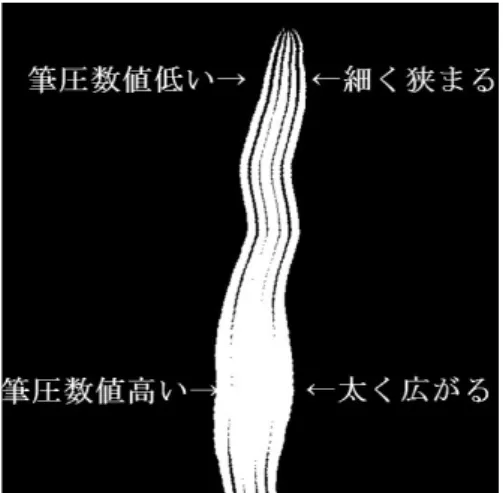 図 2.2 は、生成した髪のツヤにおいて筆圧がどこに反映したかを表した図である。 図 2.2: 筆圧を反映した箇所による線の太さと広がり狭まりの違い 2.4 生成画像の出力 描画が完了したらウィンドウ内画面を画像データとして出力する。これをペイ ントツールで読み込み、あらかじめ塗っておいた髪のレイヤーの選択領域に重ね ることで黒の部分が透明化する。図 2.3 は実際に黒の部分が透明化した例である。 図 2.3: 合成結果