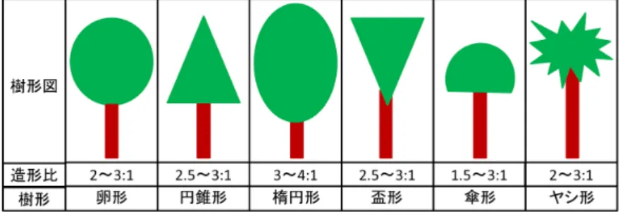 表 2.1: 樹高と標準的な樹間距離 XXXXX XXXXX樹高樹間距離 卵形 円錐形 楕円形 盃状形 傘形 ヤシ 4〜6m 4〜6m 3〜6m 5〜8m 5〜8m 5〜8m 4〜8m 6〜8m 5〜8m 4〜8m 7〜10m 7〜10m 7〜10m 6〜10m 8〜10m 6〜10m 5〜10m 9〜13m 9〜13m 9〜13m 8〜13m 10m 以上 7m 以上 6m 以上 11m 以上 11m 以上 11m 以上 10m 以上 また図 2.1 は、前述した樹形を表すと共に、樹形それぞれの理想的な造