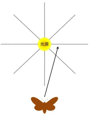 図 2.5 マッハバンド理論の挙動 .