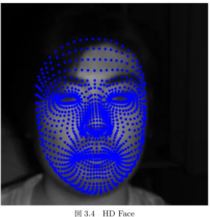 図 3.4 HD Face