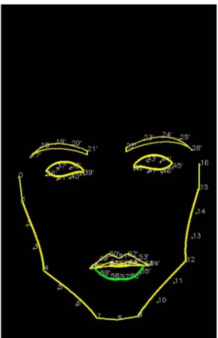 図 2.21 下唇の下半部の描画図示 2.8 下描き鼻の生成 2.8.1 鼻の長さと T 字法則 鼻パーツを一番最後に処理する理由として、鼻パーツの位置を確定するのは眼、口、眉パーツと の位置関係が必要である。本節では改めて、鼻配置確定を行い、測量方法は「 T 字法則」である。 図 2.22 T 字法則による印象の差 T 字法則とは、両眼の横幅が鼻柱の長さとの縦横比ということである。その縦横比を意識して 描くと、人物顔の印象は大きく変化することが可能である。図 2.22 は T 字法則による印象の差で