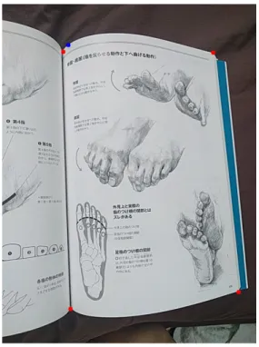 図 3.10 頂点修正の結果 3.5 グリッドの生成 3.4 節で述べた方法で 4 つの頂点を得ることができた，この 4 つの頂点を利用し，輪郭曲線を上 と下の曲線と縦方向の直線に分ける．ここで入力画像の前景境界は上下が曲線であり，左右は直 線であることを前提として述べる． グリッド生成には上下の曲線を利用する．上の連続画素を点集合を A { a 1 , a 2 , … , a n } と表す， 下の連続画素を点集合を B { b 1 , b 2 , … , b m } と表す．点集合 A,B に対して，画