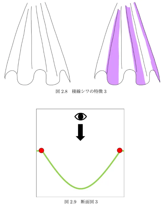 図 2.8 稜線シワの特徴 3 図 2.9 断面図 3 2.2.2 輪郭シワ 輪郭シワでは，線の片側に影が付くという特徴がある．線の両側に影が付くことはあまりない． 図 2.8 の左のイラストのように同じ幅で陰影が付く場合や，図 2.8 の中央のイラストように真ん中 の部分が幅広く影が付く場合もある．また， 2 つの輪郭シワが組み合わさると図 2.8 の左のイラス トのような影ができるという特徴がある．