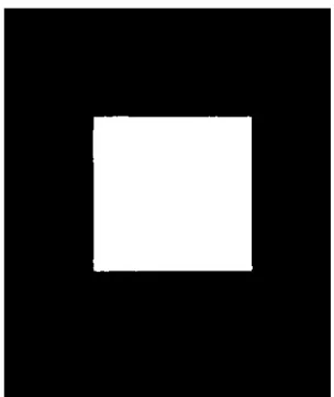 図 3.9 マスクを生成した結果