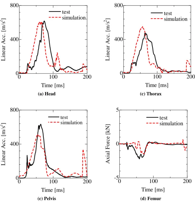 Fig. 2.15に示すように，全ての部位について応答の定性的特徴がよく一致し，定量的にも大 きな差がないことから本シミュレーションモデルの妥当性を確認できた．  大腿部荷重についてもよく一致していることから，車室モデル形状および接触剛性の設定が 正しく表現できていることが確認できた．一方で，よく一致しているというものの，頭部を除 く部位に若干の定量的なずれが見られ，最大値を示す時間がシミュレーションの方が早いとい う点で試験結果との差異が見られた．これは，変形を考慮しないマルチボディモデルにてシミ ュレー
