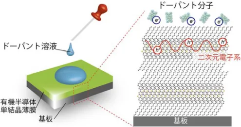 図 1 開発したドーピング手法の概要図。有機半導体単結晶表面とドーパント溶液を接 触させることで、分子の表面のみにドーピングができる。ドーパント分子は、有 機半導体分子と酸化還元反応をおこし、有機半導体に正孔（ h + ）が生じる。正孔 は有機半導体一層に束縛され、二次元電子系を形成する。