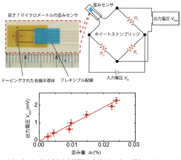 図 2 有機半導体単結晶における巨大歪み効果。 2% ほどの歪み印加量で抵抗が２倍程 度変化する（上）。巨大歪み効果の概略図。単結晶に一様に印加された歪みによ って、分子間距離が変化し、分子振動の度合いも変化する。その結果、抵抗値も 変化する。パイクリスタル株式会社と共同開発した歪みセンサーと巨大歪み効果 の概略図。 図 3 パイクリスタル株式会社と共同開発した歪みセンサー。厚さ 7 マイクロメートル のフレキシブル基板に有機半導体を印刷した。歪みセンサーはホイートストンブ リッジ回路に組み込まれ、印加歪み