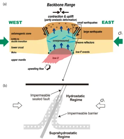Fig. 16　 Schematic figures  （a）  showing a model of the deformation pattern of the arc crust and generation of shallow  inland earthquake in Tohoku  （Modified from Hasegawa et al