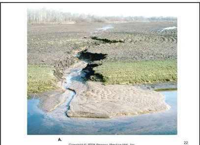 Figure 9.20 デルタ（三角州）：河川からの土砂が海岸・湖岸など水深が浅く波・潮が穏やかな所に急速に堆積して形成される。 デルタ平野 Delta Plain 分岐河川 21 Figure 5.23A 22 Fig