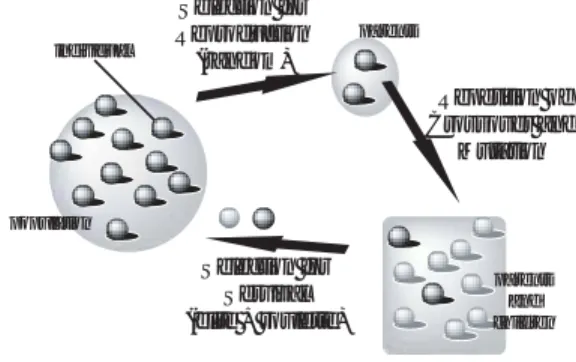 Fig. 1 Minimal Generation Gap（MGG）