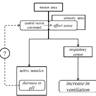 Fig. I Scheme of this study’s standing (I) 