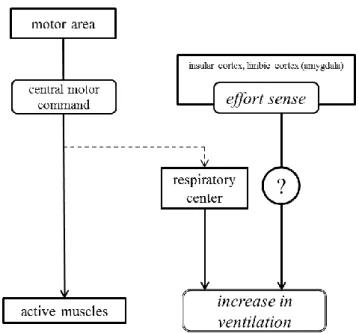 Fig. II Scheme of this study’s standing (II) 