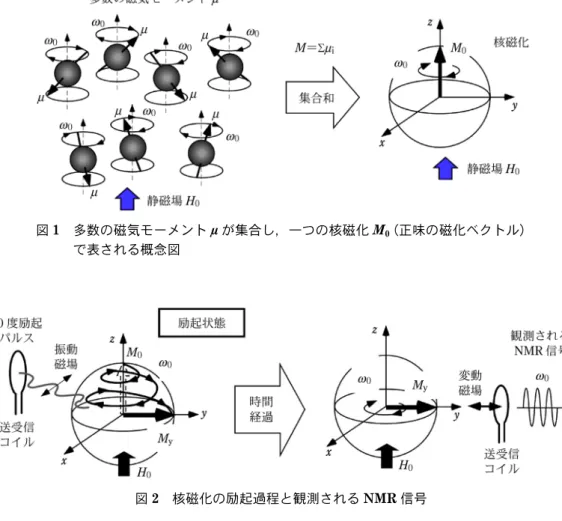 図 1 多数の磁気モーメント m が集合し，一つの核磁化 M 0 （正味の磁化ベクトル） で表される概念図 図 2 核磁化の励起過程と観測される NMR 信号 は核磁化の励起と，NMR 信号の受信の両方に使われる。 2･2 FID とスピンエコー 200 mL の容器に入った水で観測される NMR 信号を 図 3 に示す。縦軸が信号 V，横軸が時間 t である。多量 の水のため，多数の核磁化が容器の中に分散していると 考えて良い。 核磁化が第 1 番目の振動磁場（90 度励起パルス）で 励 起 さ れ た 