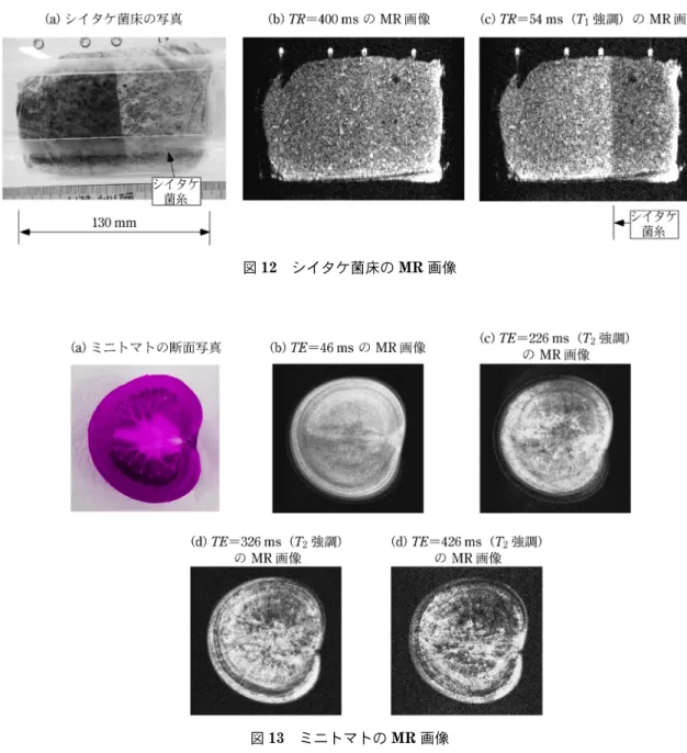 図 12 シイタケ菌床の MR 画像 図 13 ミニトマトの MR 画像い領域を黒で示した。そら豆はサヤの部分に水が豊富にあり，そら豆とサヤの間にあるワタの部分には水がほとんどないことが分かる。5･2T1強調画像T1緩和時定数に空間分布がある場合，TE≪T2とし，TRをT1緩和時定数よりも短く（TR＜T1）すると，T1緩和時定数の相違を信号強度として画像化することができる。図12には，シイタケ菌床の右半分にシイタケ菌糸が成長した際の菌床のMR画像を示す。左側のおがくずのT1は約80 msであり，シイタケ菌糸
