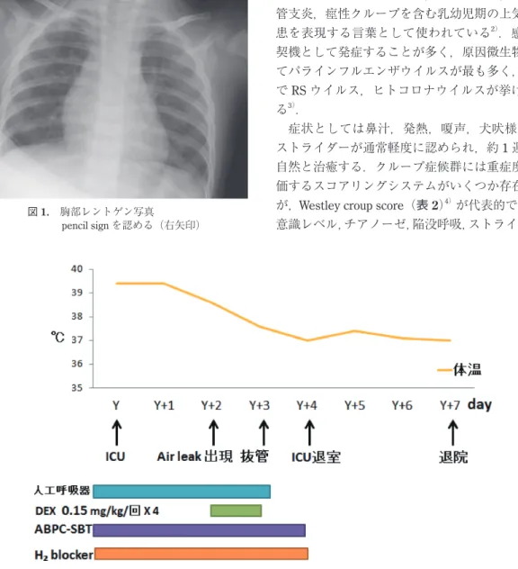 図 1. 胸部レントゲン写真