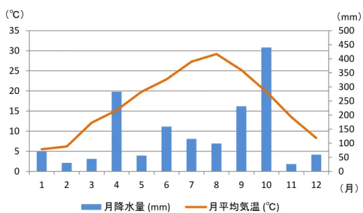 図表  1-6  （参考）東京の気温及び降水量（2013 年）  （出所）図表  1-5、図表  1-6 ともに国際連合より作成  6.  民族  メキシコの民族構成は、メスティーソ（スペイン系などの欧州系と先住民の混血）が 60％、 先住民が 30％、スペイン系などの欧州系が 9％、その他 1％程度である。欧州系人種や欧州 系との混血が多く見られるのは、16 世紀のスペイン人による侵略などが背景にある。  7