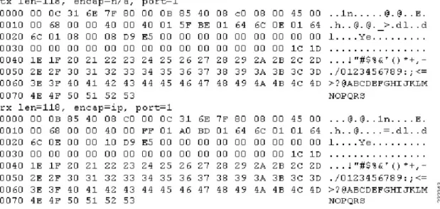 図 7：Text2pcap の出力例