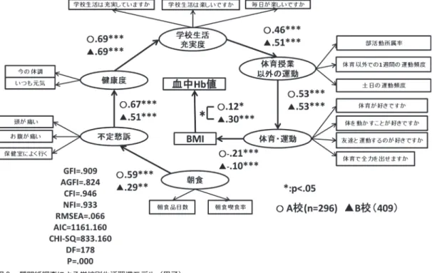Fig 2  The result of covariance structure analysis (male)