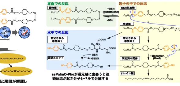 図 3  a）本研究で開発した ssPalmO-Phe の構造と分解反応（HyPER）の概略。 