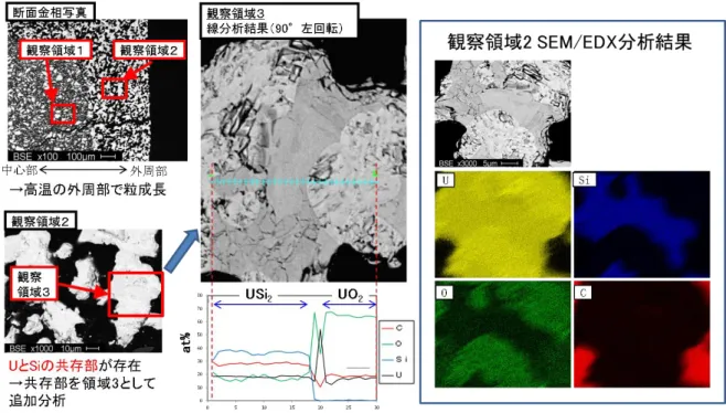 図 3.1.1.4-23  UO 2 -SiC 模擬デブリ金相、SEM/EDX 分析結果 