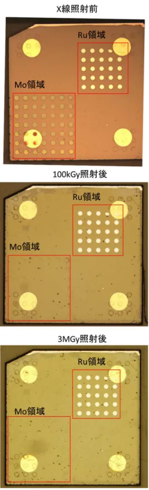 図 3-3-9  X 線照射前後における Mo 及び Ru 電極の様子 