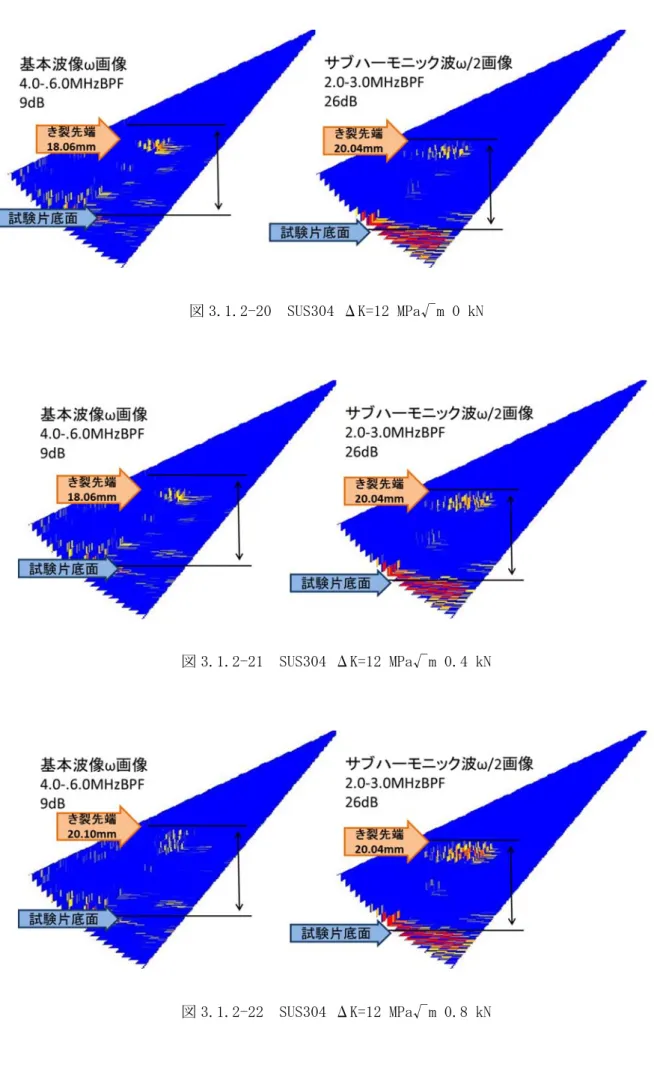 図 3.1.2-20  SUS304 ΔK=12 MPa√m 0 kN 