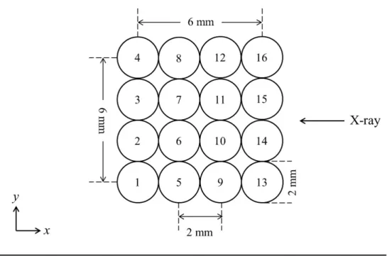 図 3.2.3-4  X 線照射点のマッピング（[参考文献(4)]の Fig.6 を転載。） 