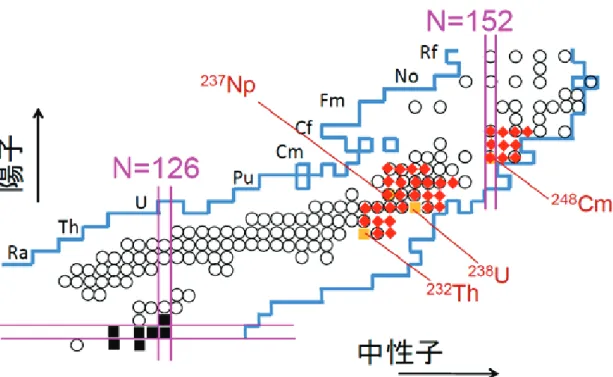 図 2.1.0-1: 本事業で 232 Th, 238 U, 248 Cm, 237 Np を標的核とする 18 O 入射代理反応で質量数分布を 測定する予定の核種を示す核図表 収率（(N,Z) 分布）を求める。本計算は図 2.1.0-3 に示すような多次元のポテンシャルエネ ルギー上における原子核変形パラメータの時間変化を求める手法であるが、これまでは二 つの分裂片の距離、質量の違い（質量非対称度）の他、二つの核分裂片の変形度を共通と し、3 次元計算を行なってきた。しかし核分裂では多次元性が重要であるこ