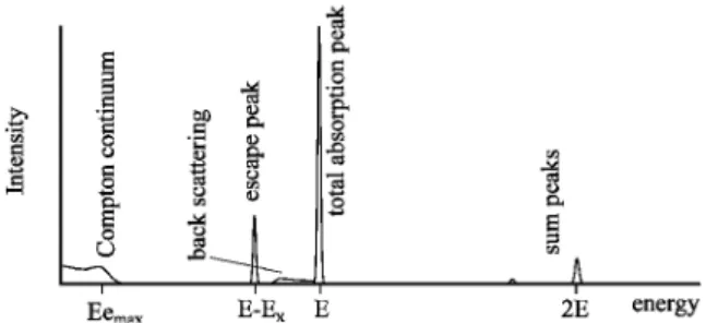 Fig. 2 半導体検出器のエネルギースペクトルの模式図特別企画■ エネルギーを測る―半導体検出器（高純度ゲルマニウム検出器シリコンドリフト検出器)― ルを模式的に表すと Fig