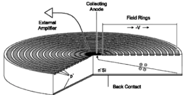 Fig. 3 ゲルマニウム検出器素子の断面図