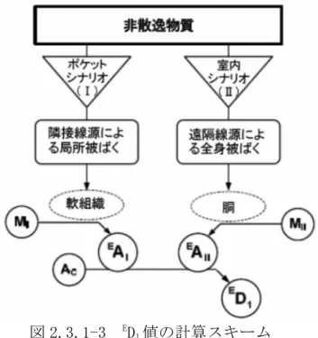 図 2.3.1-3  E D 1 値の計算スキーム  ポケットシナリオ：シナリオⅠ（ “ポケット”シナリオ）において組織 1（軟組 織）に重篤な確定的健康影響を引き起こしうる初期放射能 E A 1,I [Bq]は，次式によって与えられる。  R ,” =  Ê ×&amp; ËÌÍ ,Ê ∙ Sj •‰Î     2.3.1-84  ここで，  Sj •‰Î  ：軟組織における重篤な確定的健康影響の発現に対する吸収  線量の参考レベル 25 [Gy]  j~ •‰Î ,”  ：軟組織の吸収線量に対する吸収線