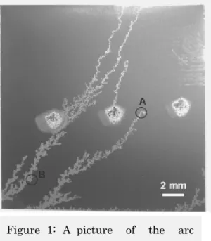 Figure 1: A picture of  the arc trails on tungsten specimen. 