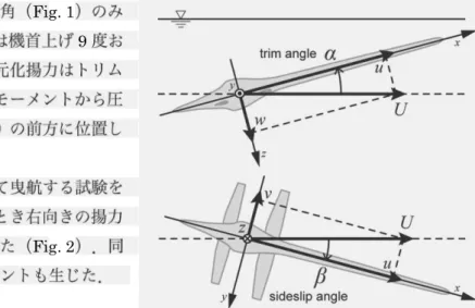 Fig. 1 Definition of trim angle and sideslip angle 