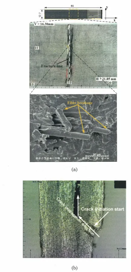 Figure 9. Typical optical microscopy and SEM micro graphs for the fracture of (a) normal BLJ with 6 layers and (b)  (b) 