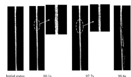 Figure 5. Fracture evolution of S 1-1 structure 