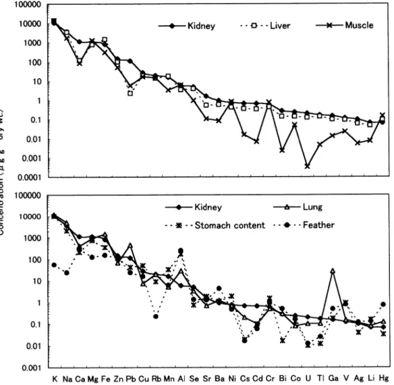 Fig.  1  Trace  element  concentrations  in  the  kidney,  liver,  lung,  muscle,  feather  and  stomach  content  of  common  kestrel  from  Haneda,  Japan  in  1999
