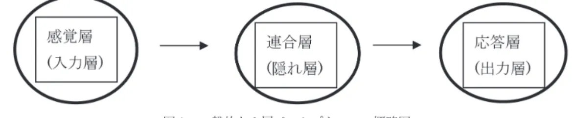 図 1 ．一般的な 3 層パーセプトロンの概略図