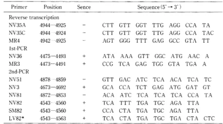 Fig.  2  Method  of  RNA  extraction  and  PCR  amplifica- amplifica-tions. 及 び 感 染 防 御(便 ・吐 物 を扱 う場 合 手 袋 の 着 用, 飛 散 が 予 想 さ れ る 時 に は プ ラ ス チ ック ・エ プ ロ ン とマ ス ク の 着 用)を 呼 び か け た.疑 わ しい 患 者 に つ い て は,便 ま た は吐 物 の 提 出 を依 頼 し た.失 禁 状 態 も し く はお む つ 管 理,手 洗