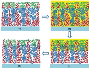図 18  は Methanol 処理が Double BHJ Morphology に及ぼす影響に関する想像図である。