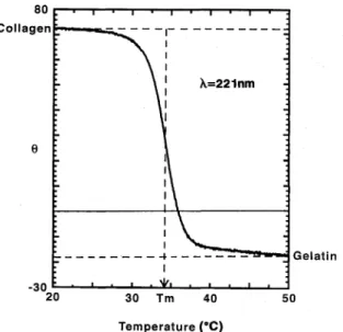 Fig.  3  Helix-to-coil  transition  curve  of collagen  in 20 mM acetic  acid.  0  means  observed  ellipticity   (mil-lidegree)  at  221  nm
