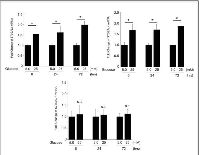 図 13 糖負荷刺激によるヒト網膜血管内皮細胞におけるシアル酸転移酵素の 変化。ST3GAL1 および ST3GAL4 の mRNA は増加していたが、ST6GAL1 の mRNA は変化しなかった。 *,  P&lt;0.05  