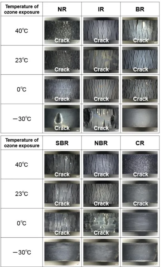 Figure 2-2    Digital microscope images for the vulcanized rubbers exposed with 50 pphm  ozone (20 magnifications)