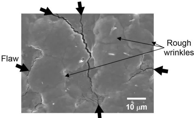 Figure 2-9    The magnified SEM image of the vulcanized isoprene rubber with 4.0 phr  wax cooled at -30 C after bloom treatment at 40 C (1500 magnifications)