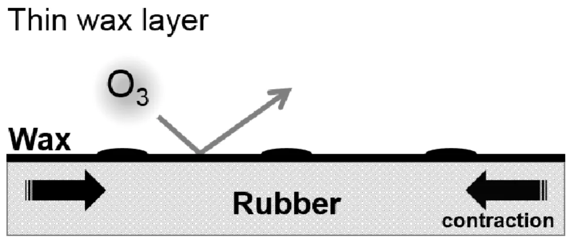 Figure 2-14    Ozone degradation mechanism of a vulcanized rubber with a wax at low  temperature