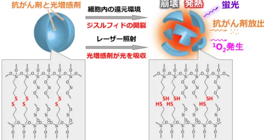 図 1.  開発したナノ粒子の構造と機能。ナノ粒子は主にジスルフィドとシロキサンから構成さ れる。細胞内のグルタチオンによりジスルフィドがチオールに還元され、ナノ粒子は崩壊し、 抗がん剤を放出する。レーザー照射によりナノ粒子は蛍光、熱、一重項酸素を同時に発生する。 レーザー照射はナノ粒子の崩壊を促進し、抗がん剤の放出を加速する。 図 2