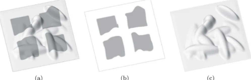 Fig. 3 These images show an example of how the image in (a) can be decomposed into the albedo and shading images shown in (b) and (c), respectively.