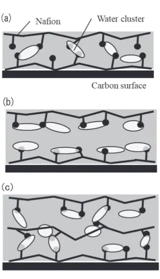 Fig. ９　 Schematic of the structure of sulfonic group and water  clusters. （a）, （b）, （c） shows the result when thickness 