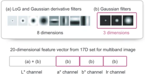 Fig. 6 Filter bank for multiband image. The 17D set ﬁlter banks are expanded to 20D set for a multiband image.