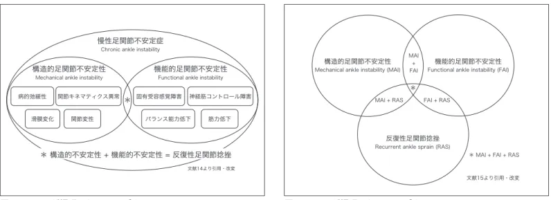 表 1　International ankle consortium による CAI の選択基準 文献 12 より引用・改変